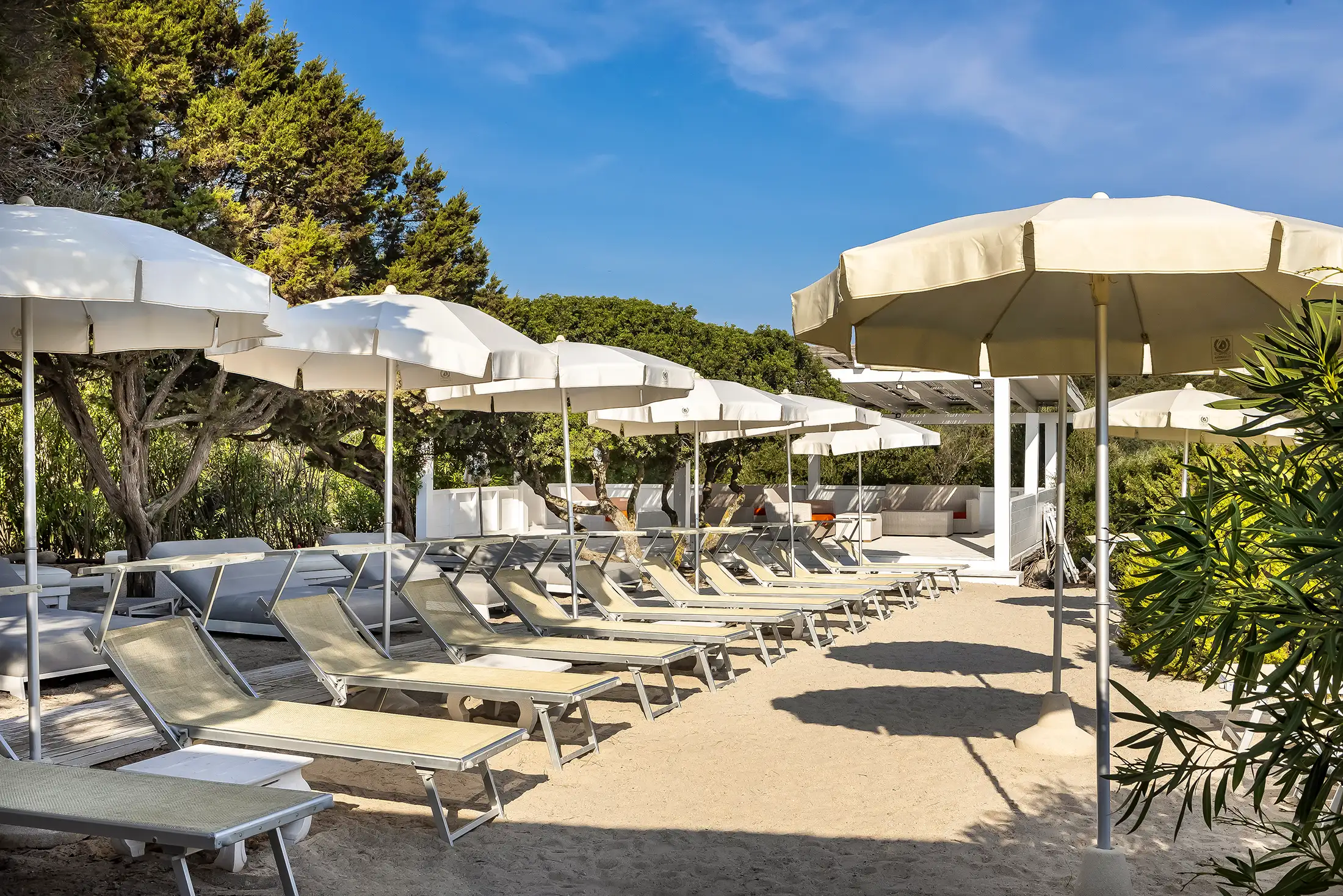 Umbrellas and sunbeds