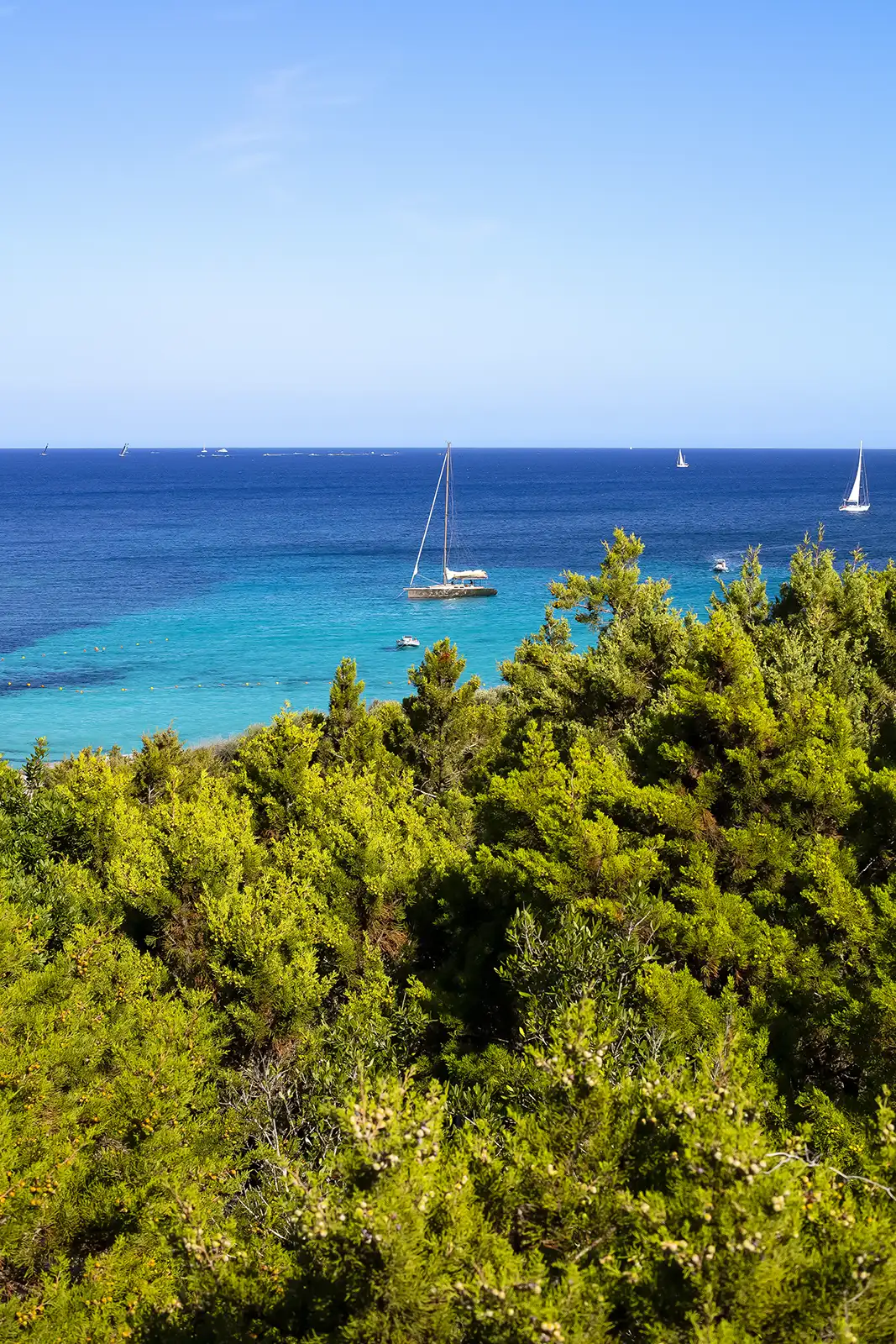 Emerald Coast Sea